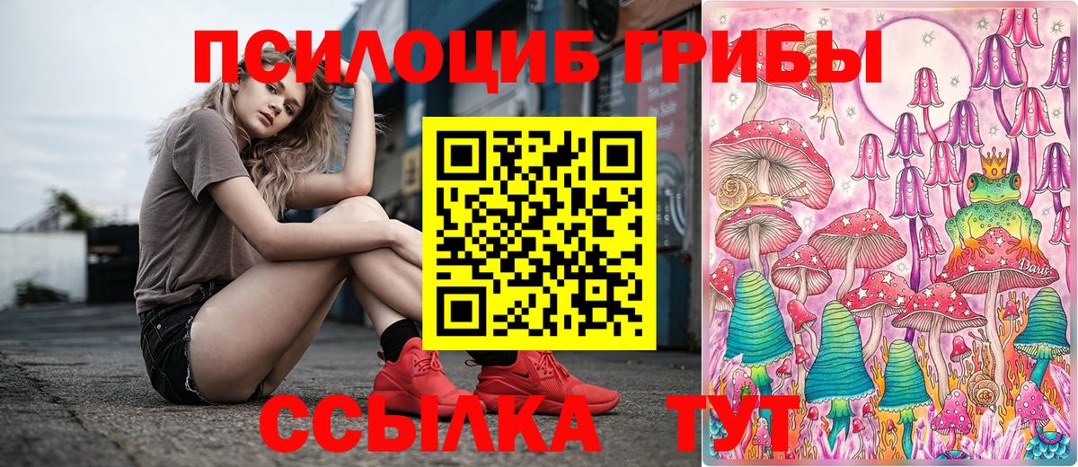 Шадринск  Галлюциногенные грибы Magic Shrooms  Псилоцибиновые грибы GOLDEN TEACHER  Вход с VPN 