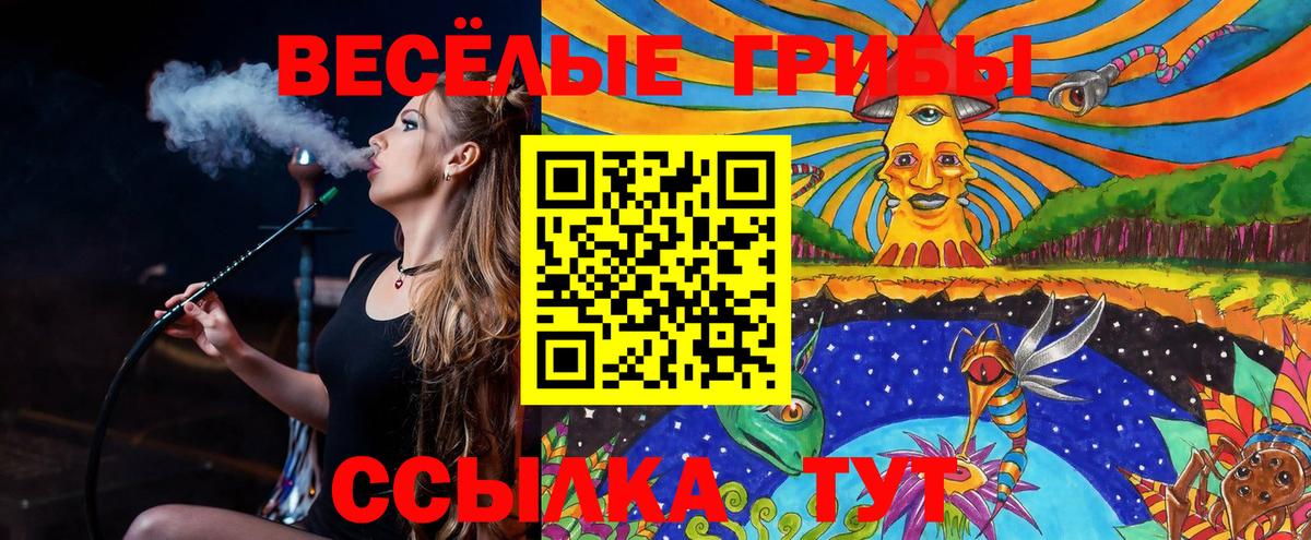 Псилоцибиновые грибы мухоморы Шадринск